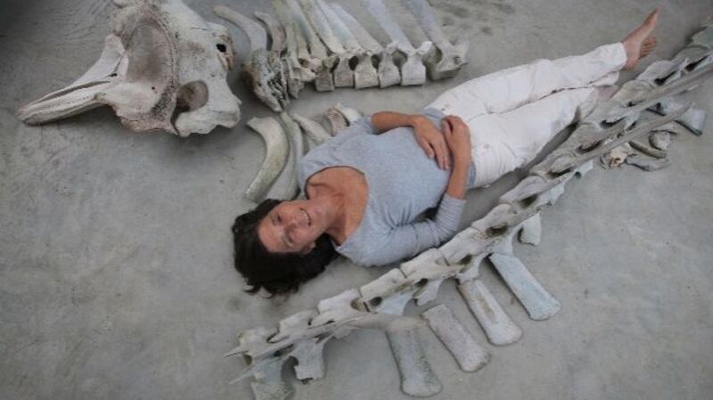 Dorothy Cross: “It [art] It shouldn’t be comforting, it should be about looking at something like you’ve not seen it before.  Photograph:  Sue Flood