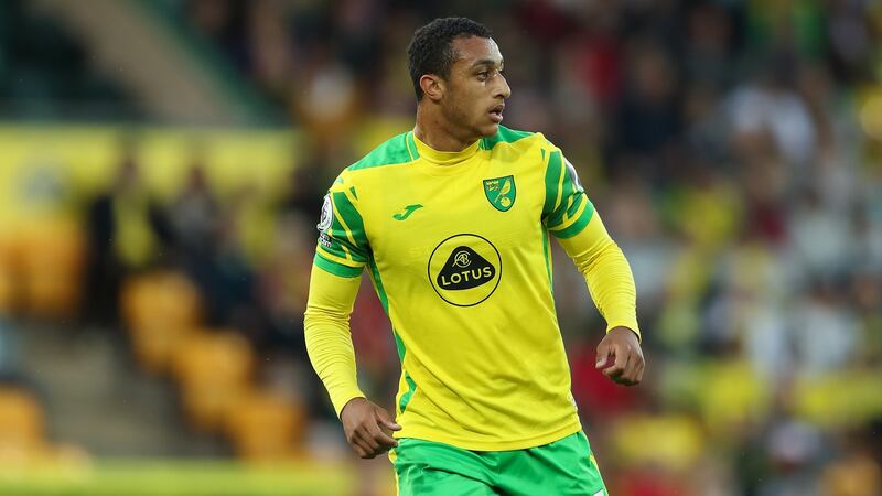 Adam Idah will hope to force his way into the Norwich team. Photo: James Williamson - AMA/Getty Images