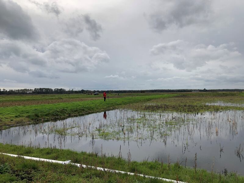 A paludiculture trial as Scotland. Initial work has been done on a farm near Clifden, Co Galway, to raise the water table and rewet small areas of peatland. Photograph: Emily Beament/PA