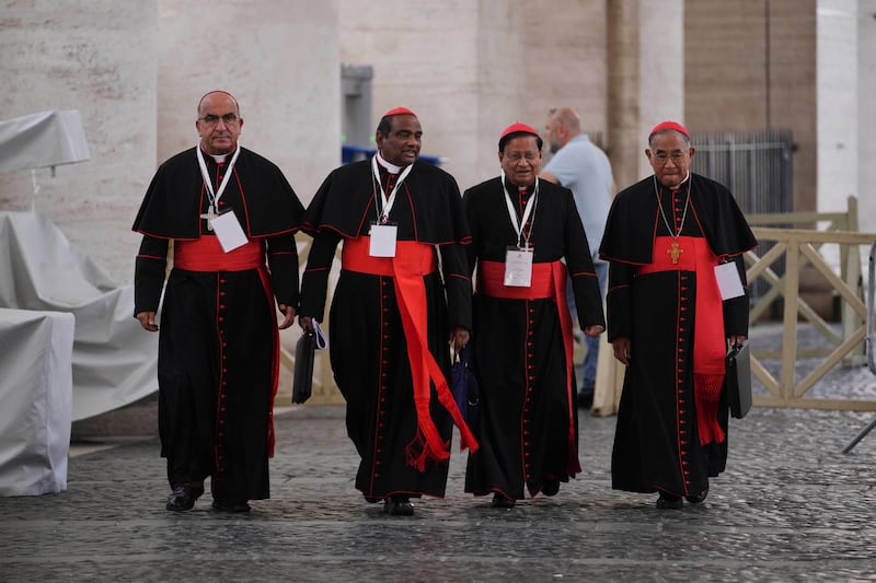 Cardinals will vote on the next pope. Photograph: Andrew Medichini/AP