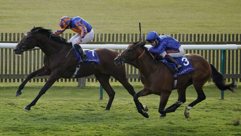Murphy pushes Ryan Moore all the way in the Derrinstown Irish EBF Maiden Stakes at Newmarket. Photo: Alan Crowhurst/Getty Images