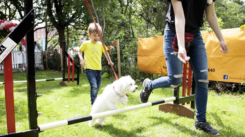 Dogs get a special welcome at the Pet-acular in both Dublin and Cork.