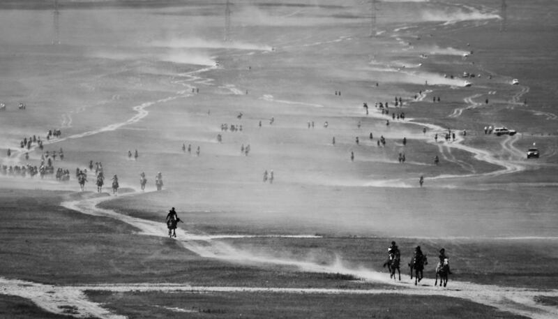 Race to the finish. Naadam Festival, Mongolia. Photograph: Leo Murphy