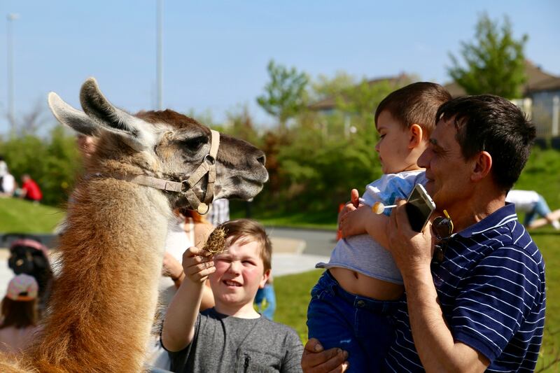 Wooly Wards Farm is a mobile petting and activity farm based in Co Tipperary