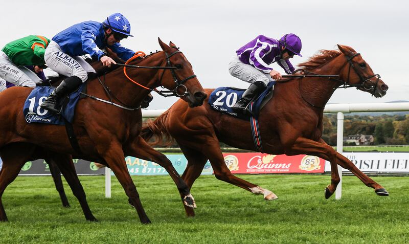 Wayne Lordan onboard Toy comes home to win the Irish Stallion farms EBF Garnet Stakes at Naas. Lordan teams up with the Ballydoyle second-string Toy in the Filly & Mare at Keeneland. Photograph: Tom Maher/Inpho 