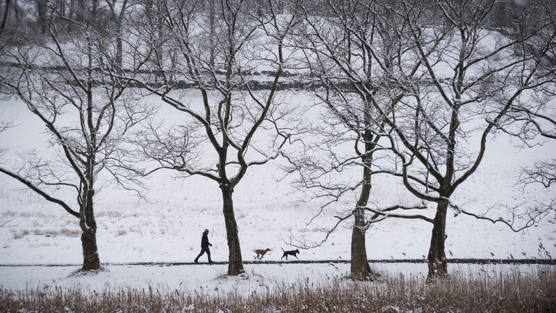 The Rockefeller State Park Preserve in Sleepy Hollow, New York. Photograph: Joshua Bright/The New York Times