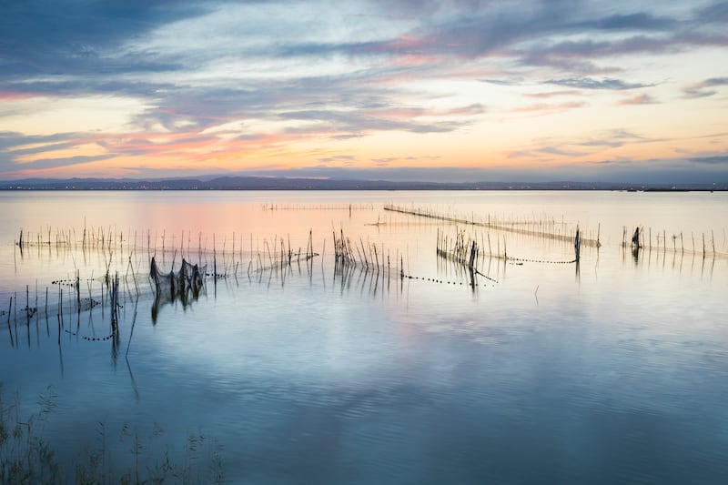 Rice fields at Albufera, Valencia. Photograph: Visit valencia
