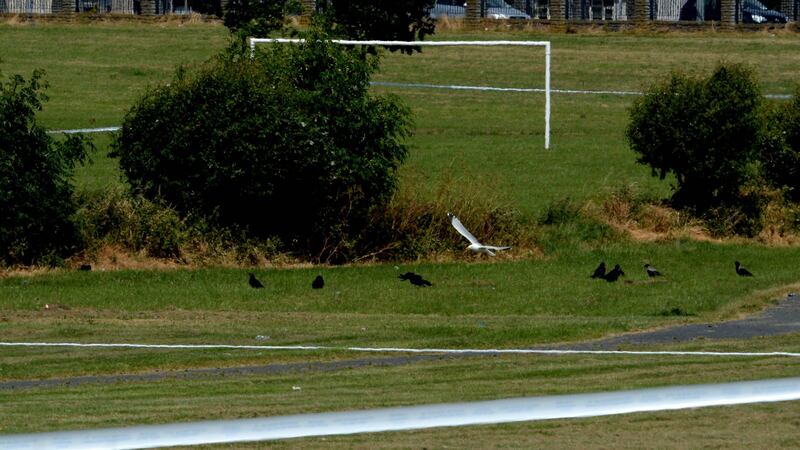 The scene at Butler Park Tallaght where a man’s body has been found. Photograph: Cyril Byrne