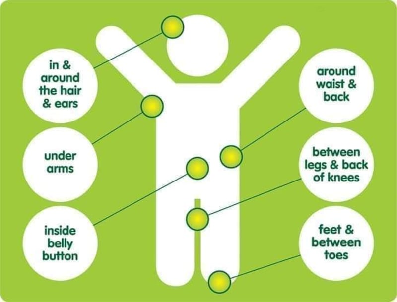 Areas of the body where you should check for tick bites