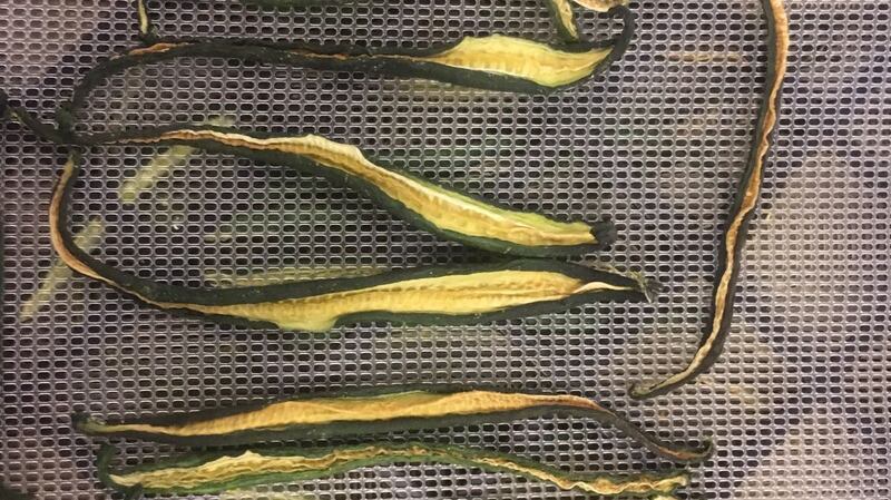 Dried cucumbers at Noma