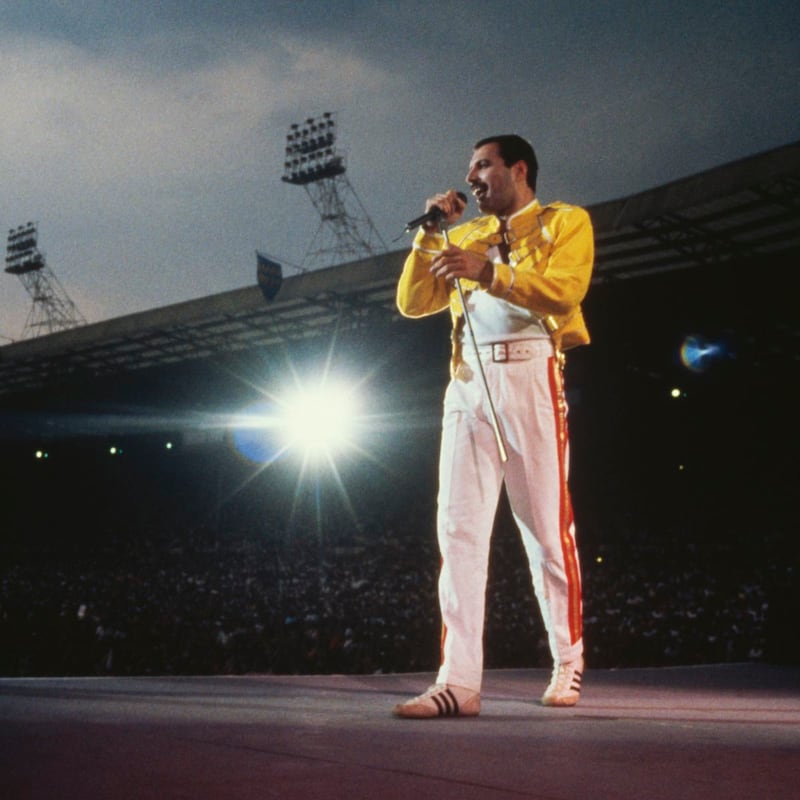 Freddie Mercury. Photograph: Dave Hogan/Getty