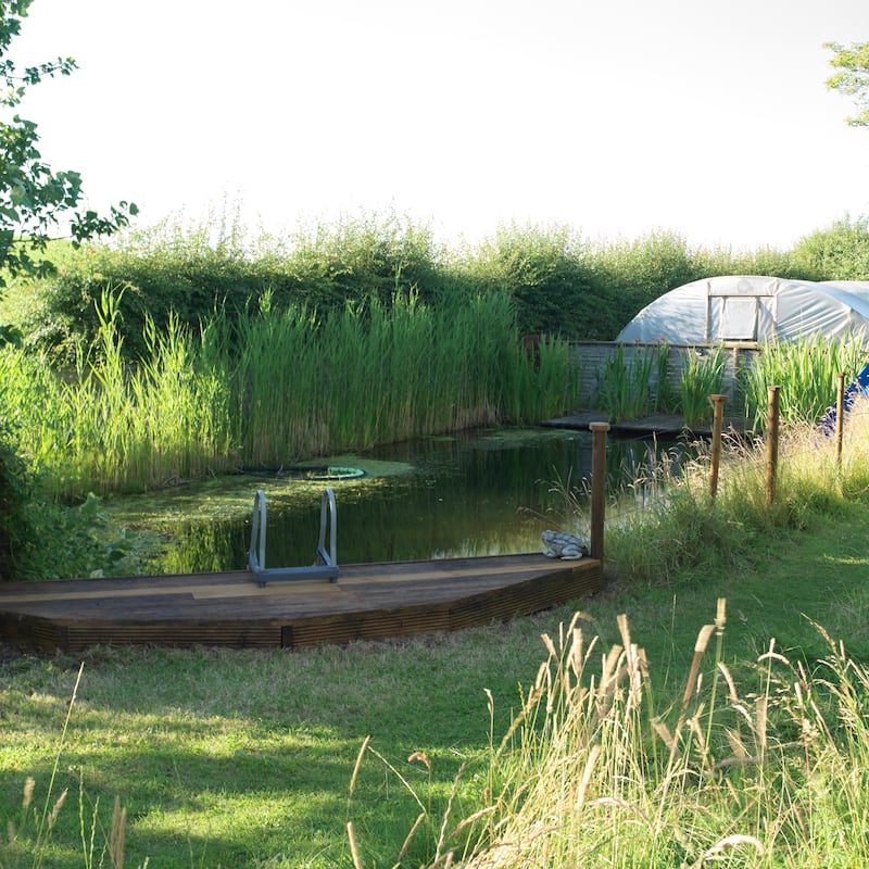 Even the organic material that very slowly collects in the pond’s pump filter is eventually recycled in the family’s polytunnel as a nutrient-rich mulch. Photograph: Richard Johnston