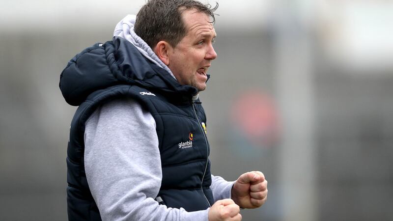 Hurling manager Davy Fitzgerald: Wexford came from a distance back in the games against Limerick and Galway. Photograph: INPHO/Ryan Byrne