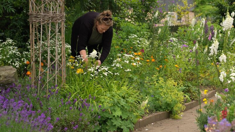 Photograph: Richard Johnston