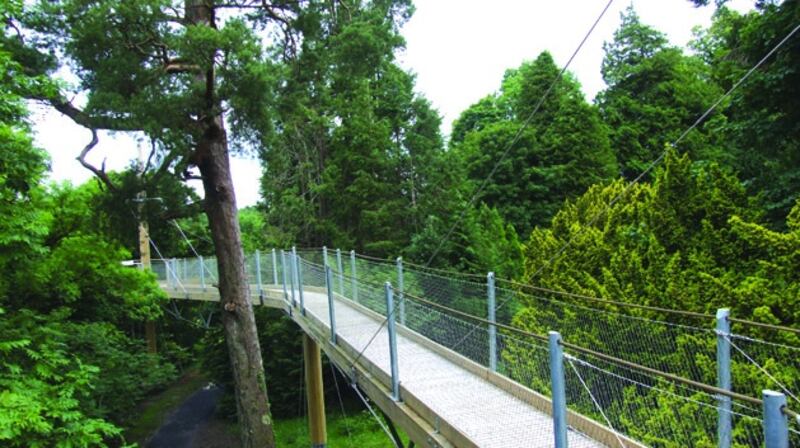 Tree-canopy walk at Lough Key Forest and Activity Park, near Boyle, Co Roscommon.