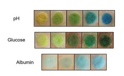 The dermal sensors were injected into the dermis in an array format for multiplexed detection. Quantitative readouts were obtained with a smartphone camera