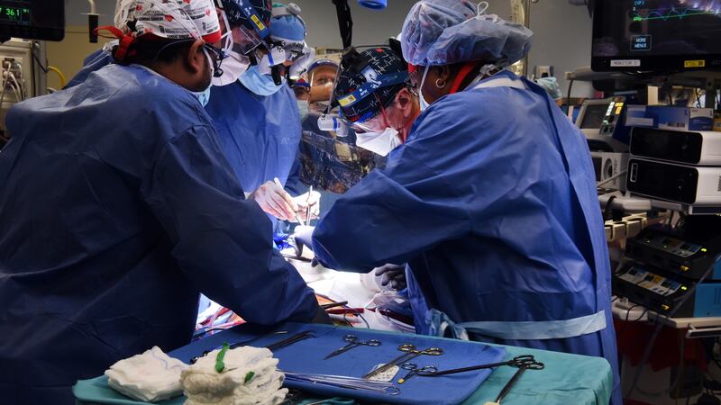 Dr Bartley Griffith leads the team that operated a successful transplant of a genetically-modified pig heart in a first-of-its-kind surgery. Photograph: University of Maryland School of Medicine/EPA