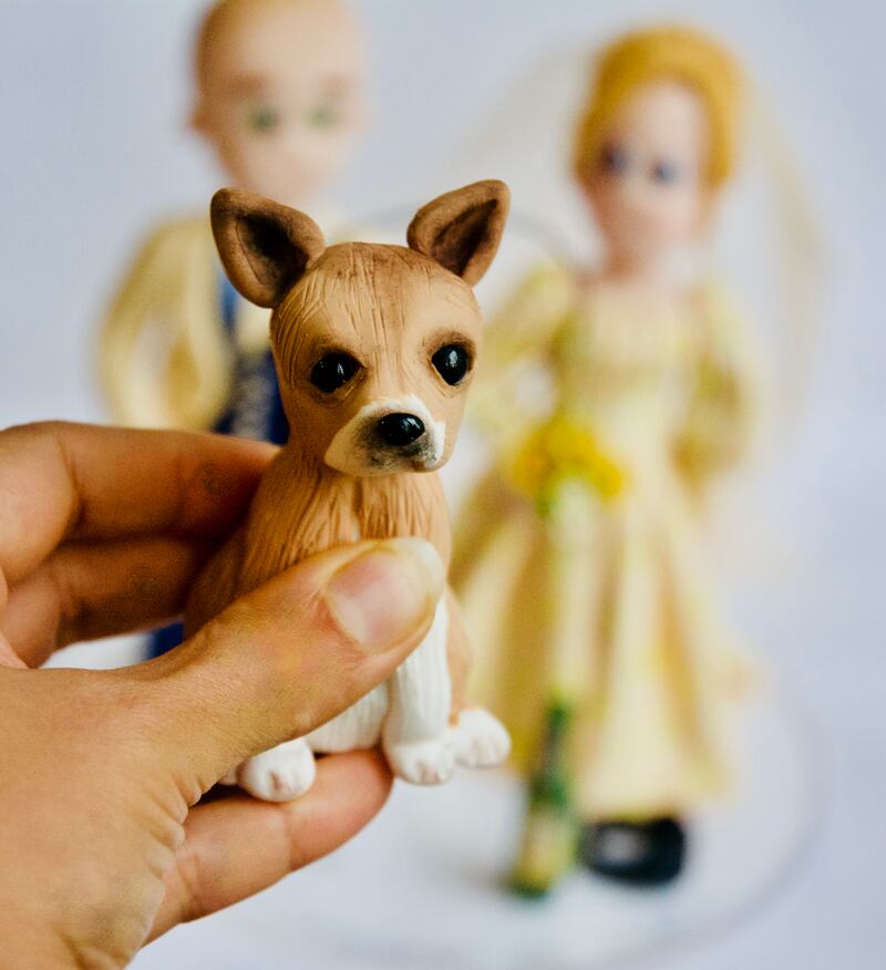 Cake art by Anjali Tambde.