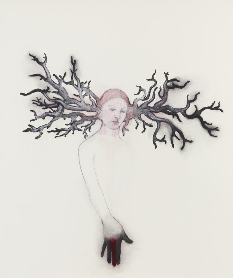 Alice Maher's The Paragon, 2016 (charcoal, watercolour and chalk on paper)