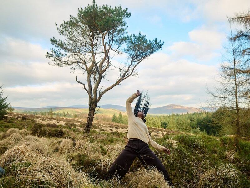 Ciseach. Photograph: Patricio Cassinoni