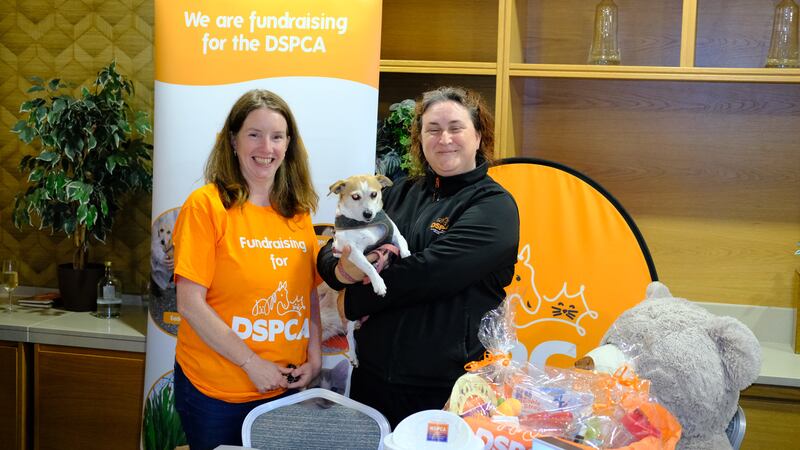 Hilton Dublin Kilmainham raised funds for the DSPCA at their annual Pet Day