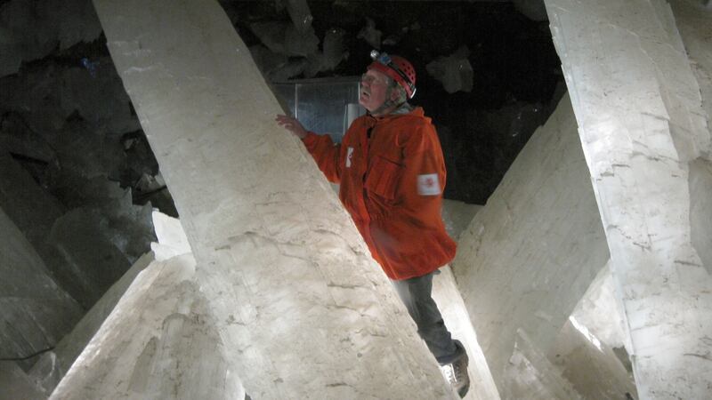 The life forms included 40 strains of microbes and some viruses. Photograph: Penelope Boston/PA Wire