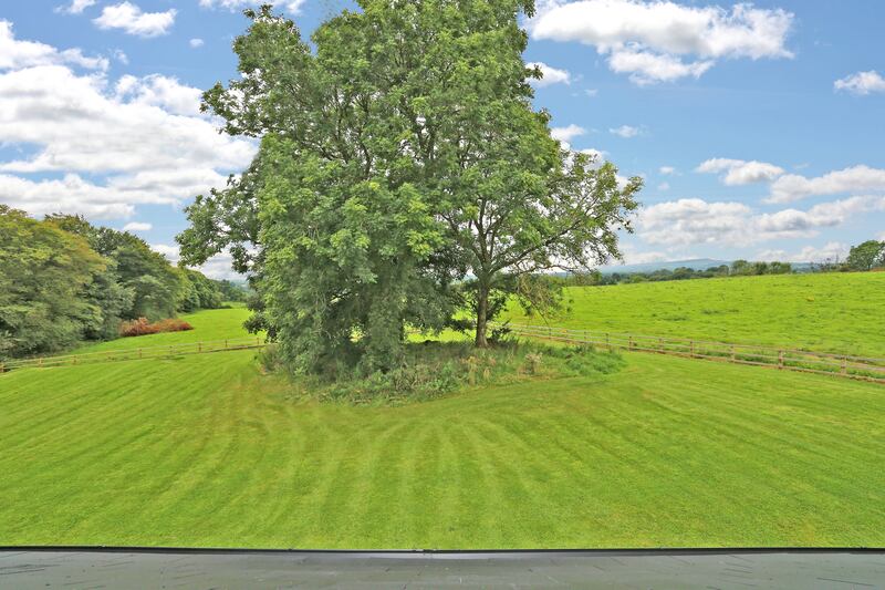 There are some old oaks on the site