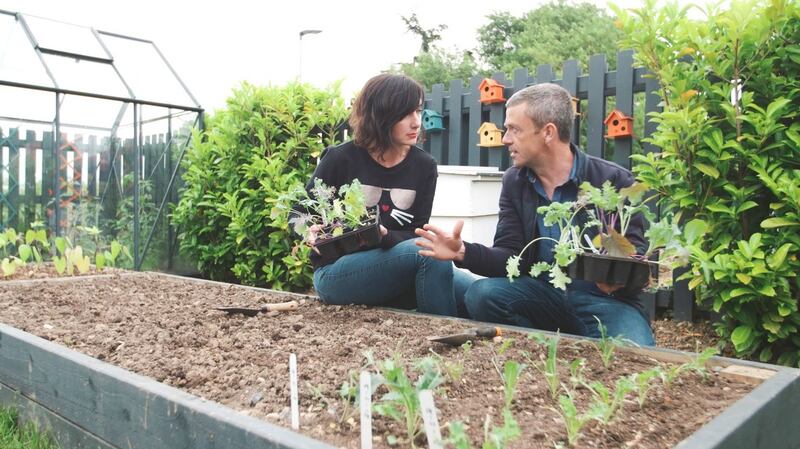 GIY: a timber raised bed is easy to build yourself with some DIY skills, or buy a flat-pack bed online and assemble the frame yourself; Michael Kelly with this Grow Cook Eat cohost Karen O’Donohoe