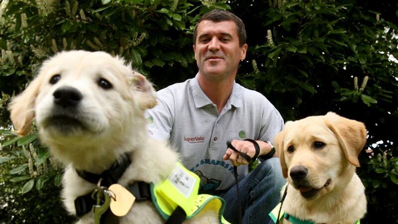 Faithful friend: Roy Keane with guide-dog puppies Verna and Tonie in 2010. Photograph: James Crombie/Inpho