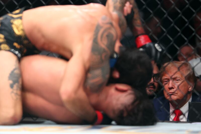 Former president Donald Trump watches a flyweight title fight between Brandon Royval and Alexandre Pantoja last week during the UFC 296 in Las Vegas, Nevada. Photograph: Sean M. Haffey/Getty Images