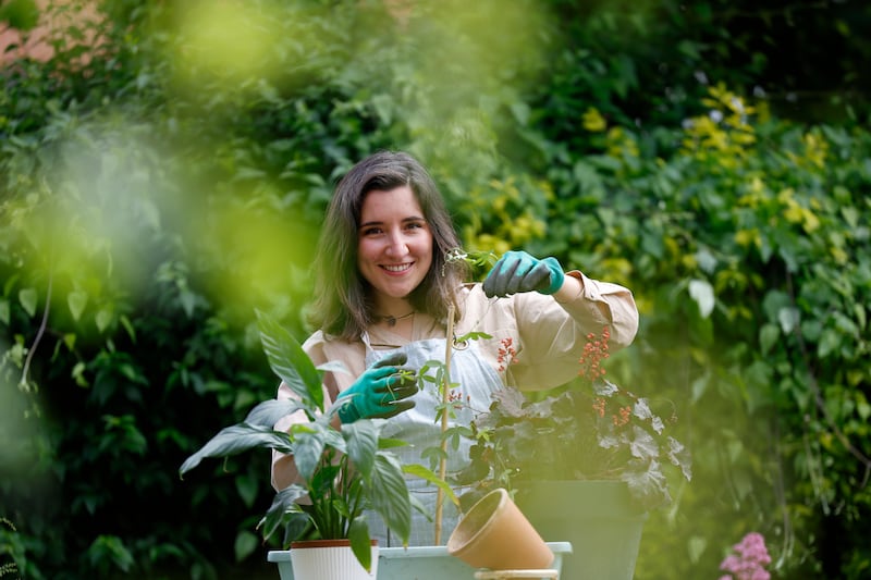 Sofia Scatto has started some rose bushes in the small garden she has in Dublin 6. Photograph: Nick Bradshaw