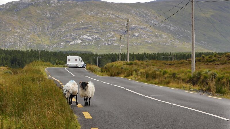 Hire a campervan and hit the road.