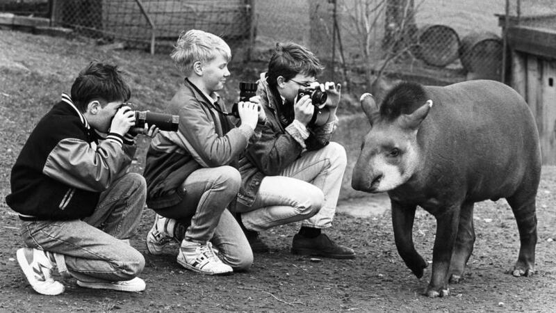 Bygone days: A Brazilian tapir parades in Dublin Zoo in 1989 for Liam Hyland, of Carmelite College, Moate, Co Meath, and Andrew Bowell and Brian Edge, of Wesley College, Dundrum, Co Dublin. The boys were preparing for the Fuji Young Photographer of the Year competition. Photograph: Jack McManus/The Irish Times