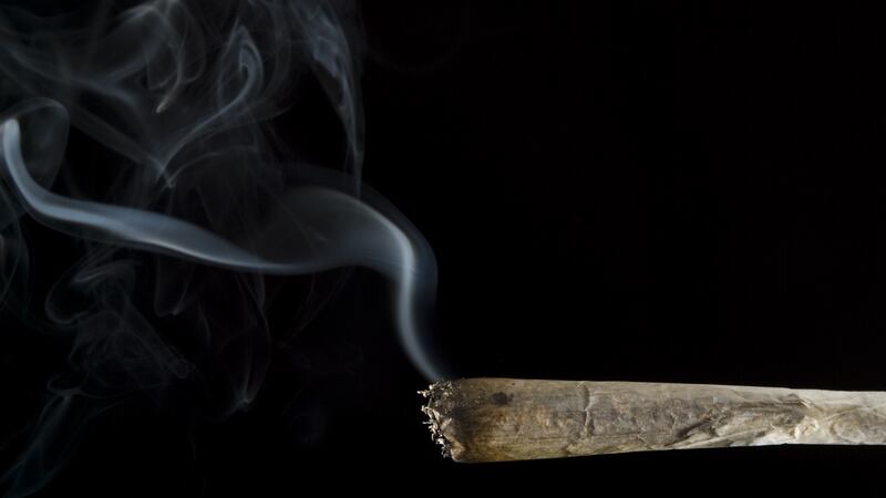 The strength of cannabis resin coming from Morocco has been increasing at a particularly fast rate in recent years. Photograph: iStock