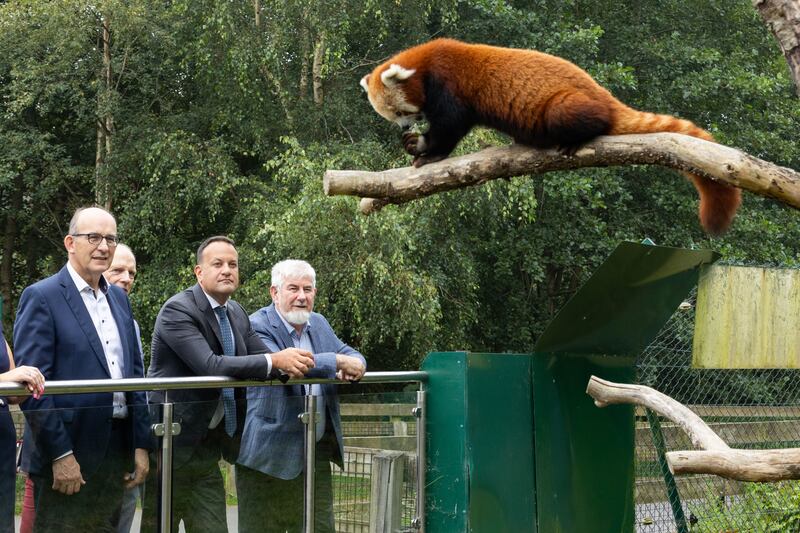 Taoiseach Leo Varadkar with Fota Wildlife park director Seán McKeown and chairman Jim Woulfe at the park's red panda enclosure. Photograph: Darragh Kane