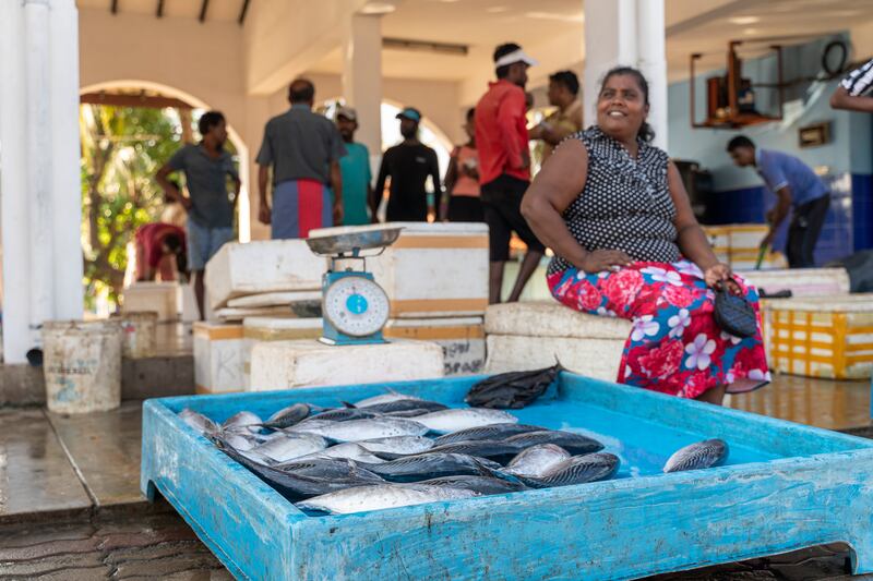 A seller at the Hikkaduwa fish market near Galle in southwest Sri Lanka