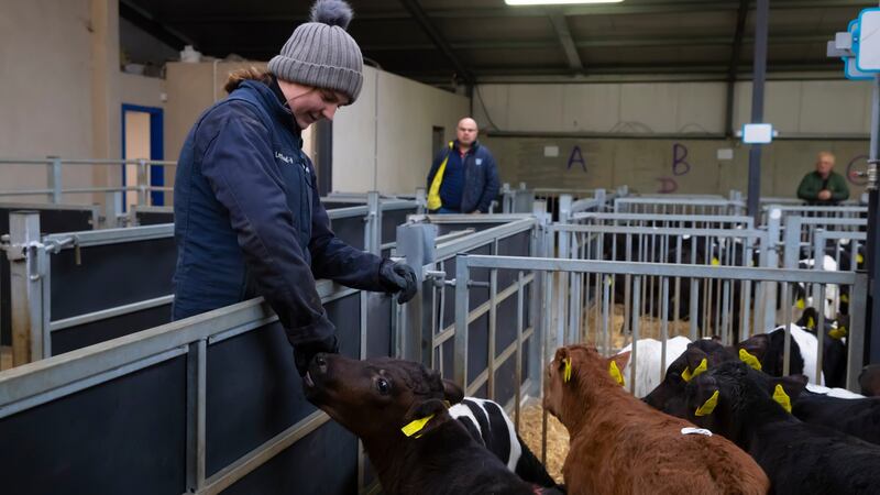 Mossie and Yvonne Cheasty from Kill, Co Waterford. Photograph: Patrick Browne