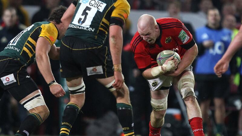 Paul O’Connell runs at the Northampton defence during the game against Northampton. Photograph: Billy Stickland/Inpho