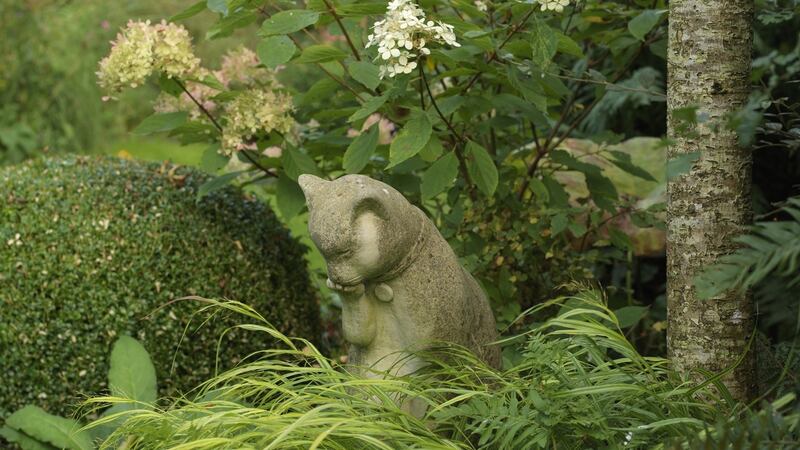 Photograph: Richard Johnston