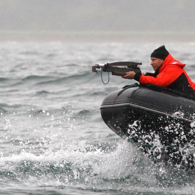 Vladimir Putin aims at a whale in 2010, when he was prime minister of Russia. Photograph: Alexey Druzhinin/AFP via Getty