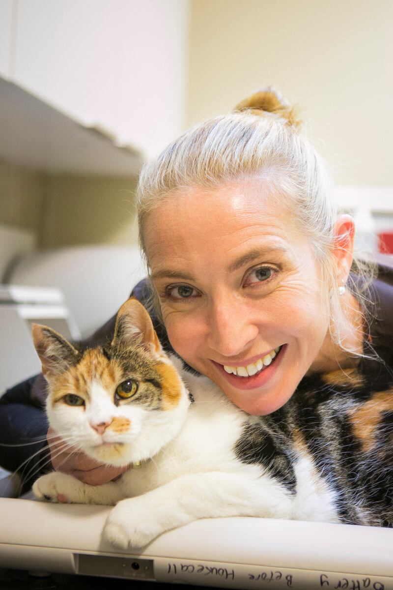 Claire Meade in Cat Hospital