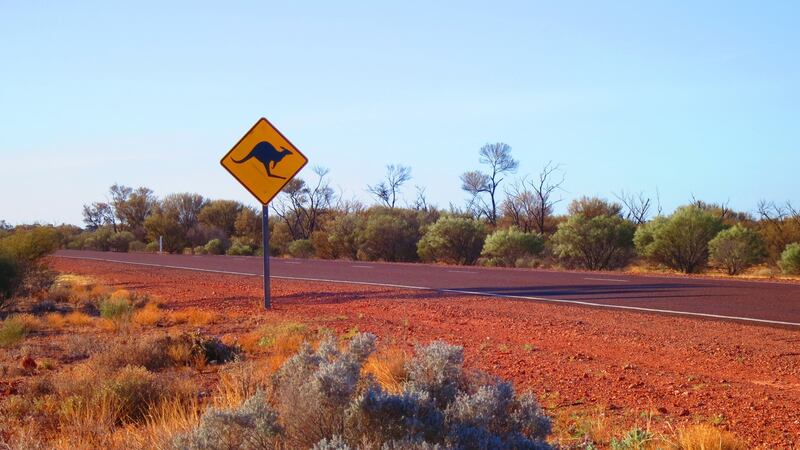 Some backpackers are so desperate to complete their 88 days they feel they have no option but to take  work for under the minimum wage.