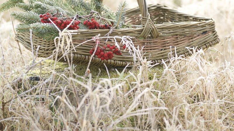 Beth Murphy handmade willow basket.