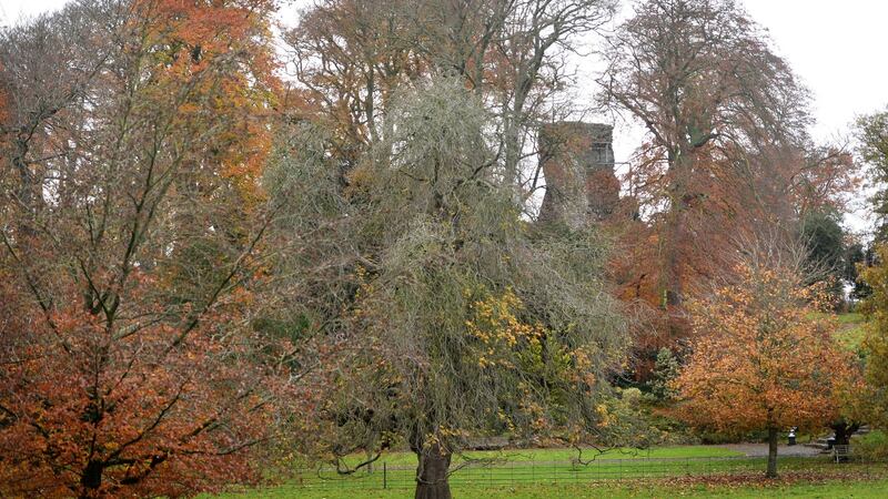 St Vincent’s Castleknock College, Dublin. Photograph: Dara MacDónaill/The Irish Times