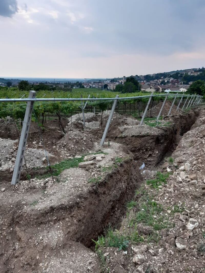 The dig site on the vineyard. Photograph: Comune di Negrar di Valpolicella/Facebook