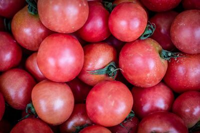 Tomatoes are a good source of vitamin C. Photograph: Angel Garcia/Bloomberg