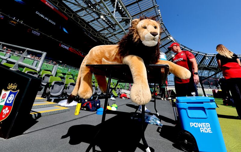 BIL the mascot. Photograph: Billy Stickland/Inpho