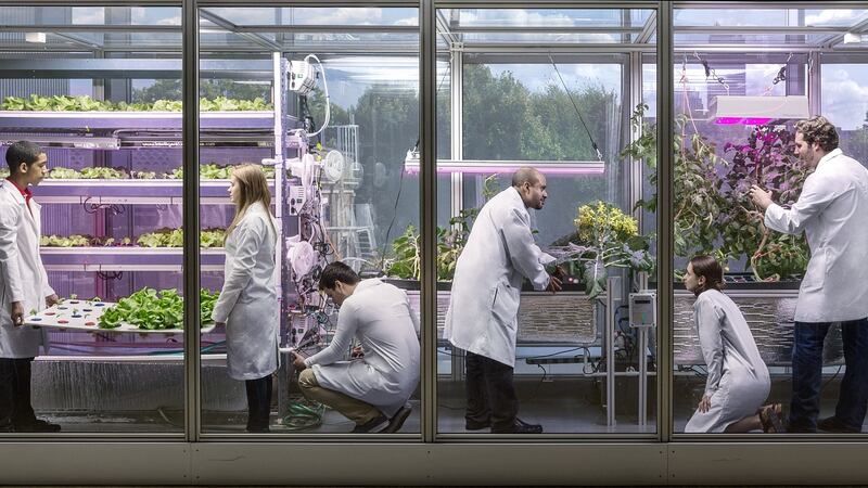 cc2014041 - Scientist Caleb Harper photographed at CityFARM at the MIT Media Lab for Wired UK Magazine