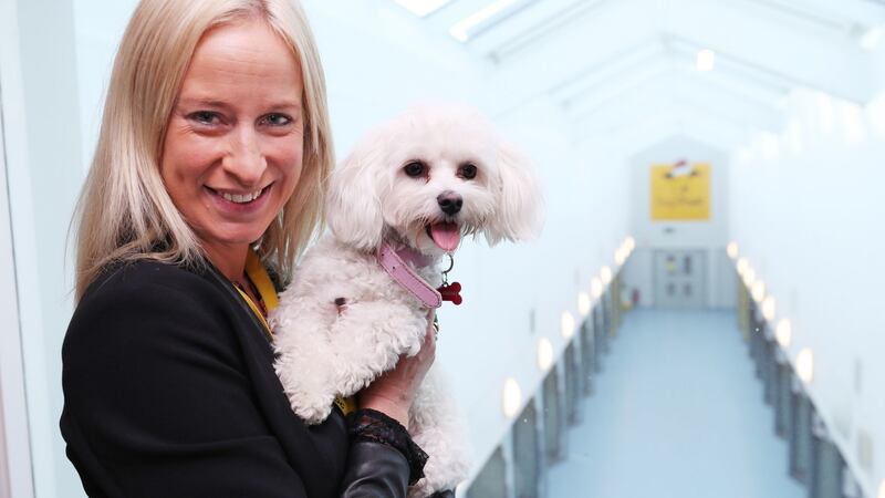 Suzie Carley from  Dogs Trust Ireland said there is a huge concern the fashion takes priority over the welfare of the puppies. Photograph: Niall Carson/PA Wire