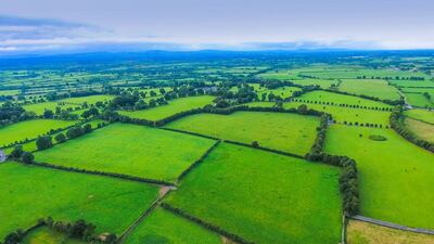 Agriculture is undergoing significant transformation. Above, a farm near the Rock of Cashel. Photograph: iStock